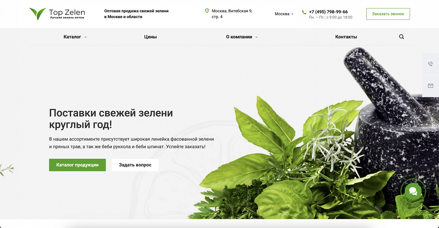 Разработка и продвижение сайта top-zelen.ru
